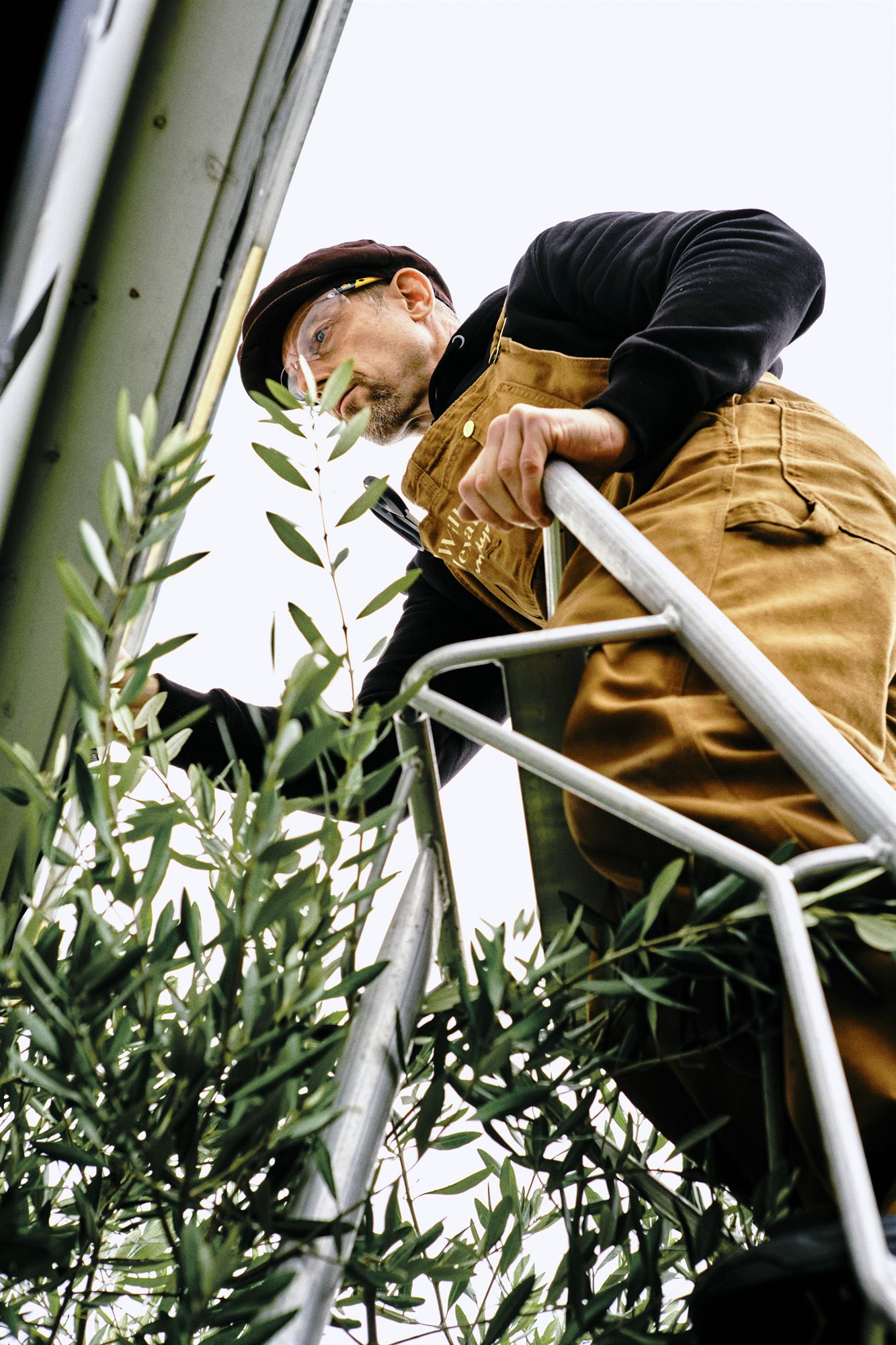 A Willow Alexander handyman working on an outdoor structure in a garden